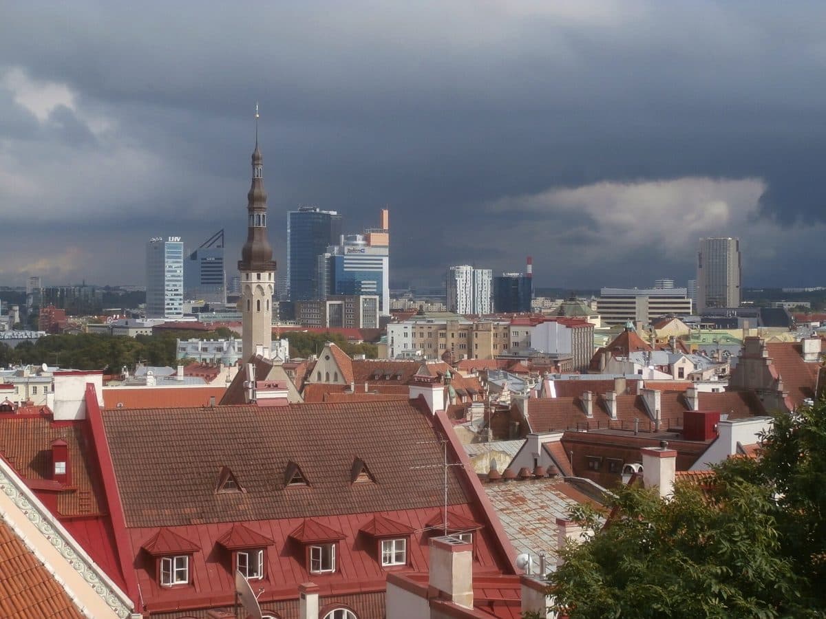 Tallinn's Old Town rooftops with the modern city skyline behind